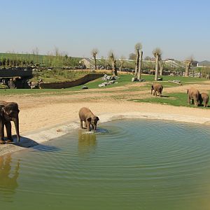 Giant enclosure for asian elephants, blackbuck and eld's deer (April 2019)