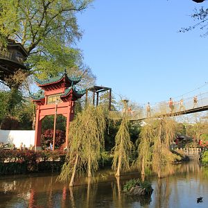 Chinese garden, giant otter enclosure and walking bridge  (April 2019)