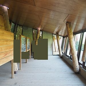 Western lowland gorilla house viewing area, 2019-03-30