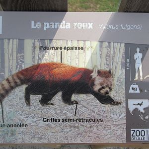 Red Panda Sign - in braille