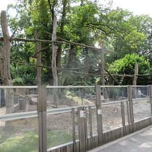 Red Panda/Reeves Muntjac Exhibit