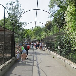 Row of introductory enclosures (Around the World)