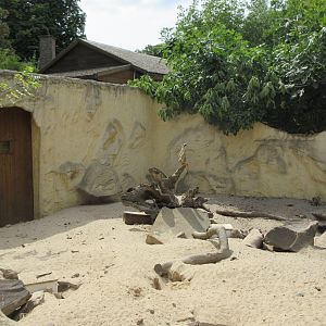 Meerkat Exhibit