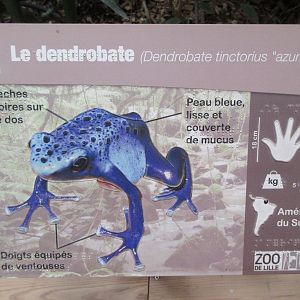 Poison Dart Frog Sign - in braille