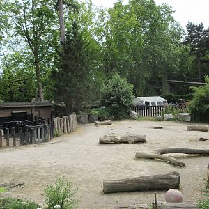 White Rhino/Burchell's Zebra Exhibit (50% of it)