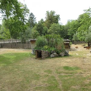 Lowland Tapir/Maned Wolf/Capybara Exhibit