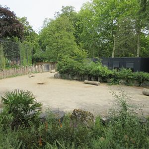 White Rhino/Burchell's Zebra Exhibit (50% of it)