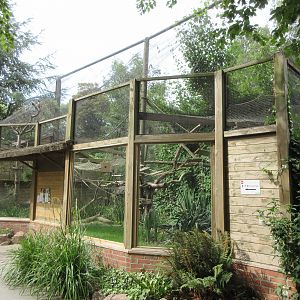 Ring-tailed Lemur/Black and White Ruffed Lemur Exhibit