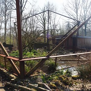 Weaver and hoopoe aviary, 2019-03-30