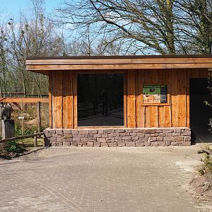 South African bat eared fox house, 2019-03-30