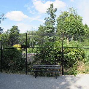 Waterfowl Aviary - huge!