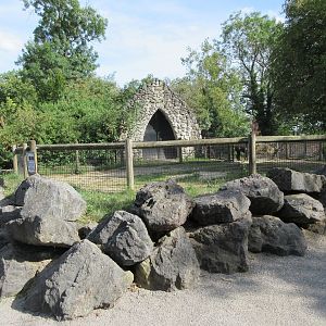 Alpaca Exhibit (50% of it)