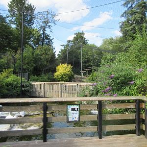 Waterfowl Aviary - huge!