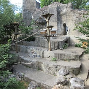 Raccoon/Coati Exhibit (old bear grotto)