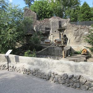 Raccoon/Coati Exhibit (old bear grotto)