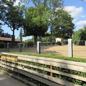 Asian Elephant Exhibit