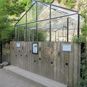 African Spurred Tortoise House