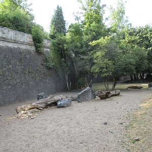 Sitatunga Exhibit