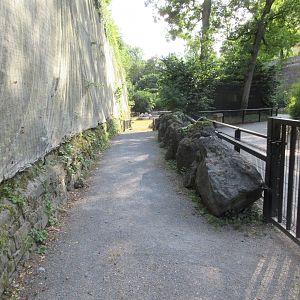 Common Hippo Exhibit (path at end of enclosure)
