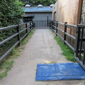 Common Hippo Exhibit (path near house)