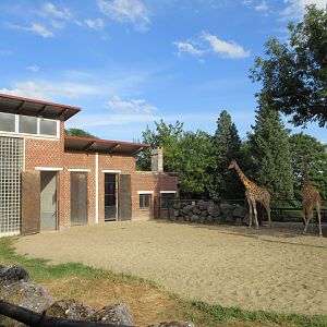 Giraffe Exhibit