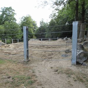 Asian Elephant Exhibit