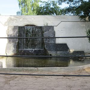 Asian Elephant Exhibit - Pool