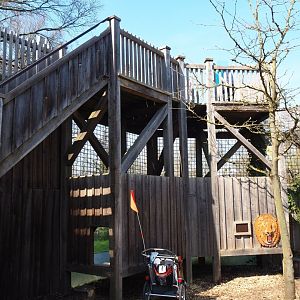 African lion viewing areas, 2019-03-30