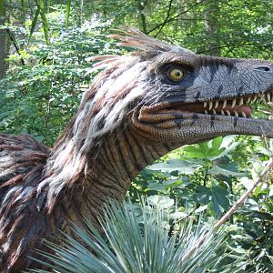 Utahraptor