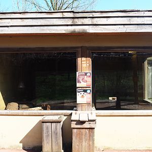 Meerkat and Indian crested porcupine house, 2019-03-30