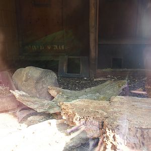 Meerkat indoor housing, 2019-03-30