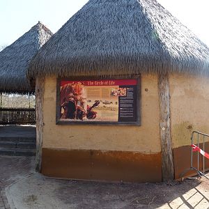 Savanna paddock viewing area, 2019-03-30