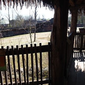 Savanna paddock and viewing area, 2019-03-30