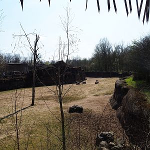 Savanna paddock, 2019-03-30