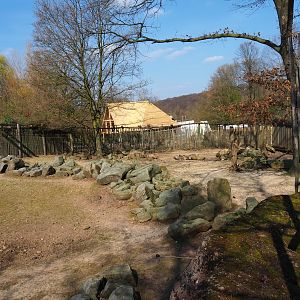 Savanna paddock, 2019-03-30