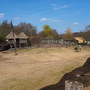 Savanna paddock, 2019-03-30