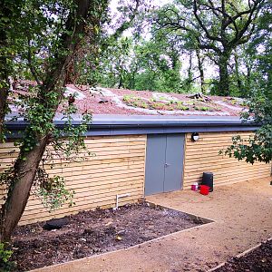 Bear Wood natural roofing