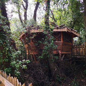 Bear Wood bird hide
