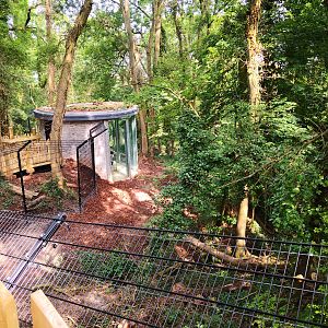 Bear Wood glass viewing area and exhibit
