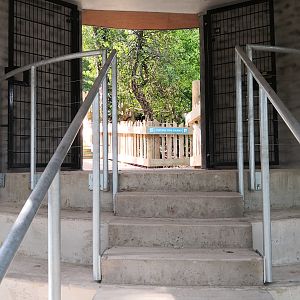 Bear Wood glass viewing area