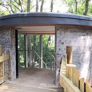 Bear Wood glass viewing area