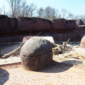 Expanded meerkat exhibit at the location of the former rock hyrax exhibit, 2019-03-30