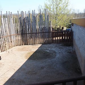 Southern white rhinoceros separation paddock, 2019-03-30