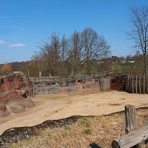 Savanna paddock, 2019-03-30