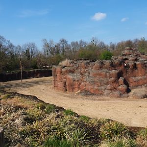 Savanna paddock, 2019-03-30