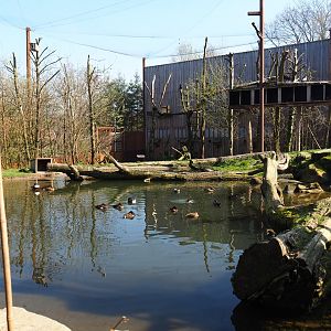 Taiga aviary, 2019-03-30