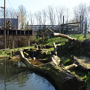 Taiga aviary, 2019-03-30