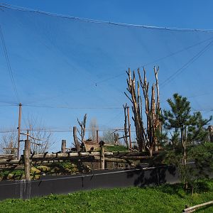 Taiga aviary, 2019-03-30