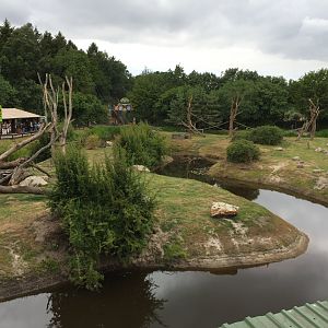 Enclosures/islands for Chimpanzees and Mandrills