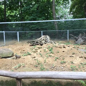 Meerkat enclosure | New 2019